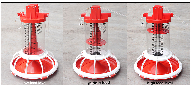 product-1-1 D2-1.jpg