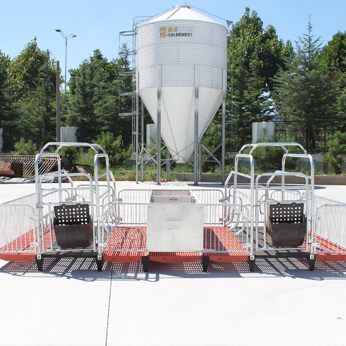 GOLDENEST Imlesta Pig House Farming Equipment
